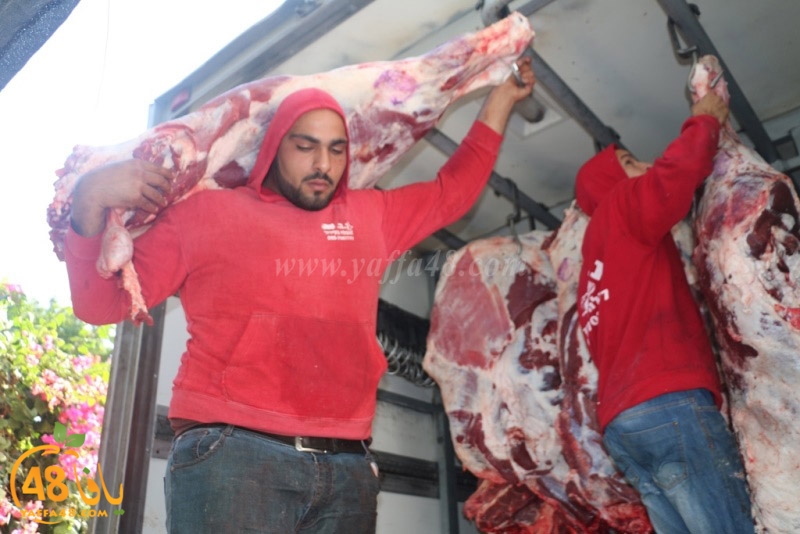 lod8om ada73y (89).JPG